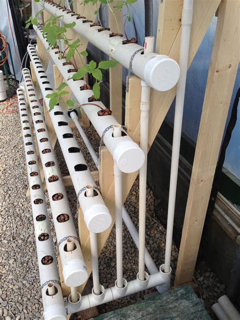 Diy Aquaponics Systems – A Beginner’s Guide To Growing Your Own Food In ...