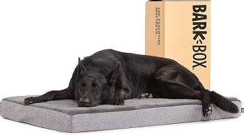 Best 6 Dog Crate Pad/Bed/Mat With Waterproof Construction