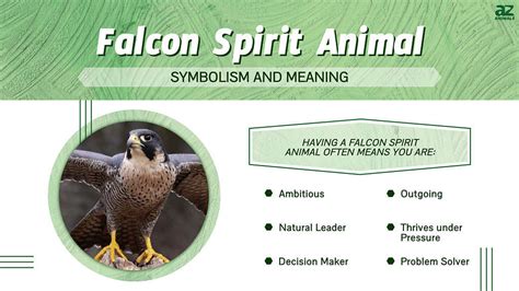 Falcon Spiritual Meaning Symbolism - Daily Spiritual Guide