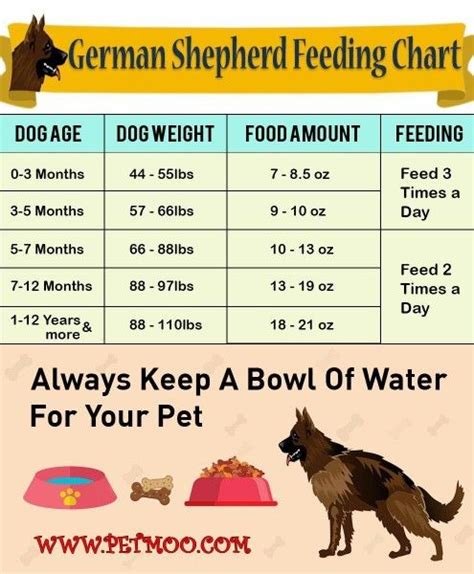 Pin by Amanda Hardie on Quick Saves | German shepherd puppies training ...