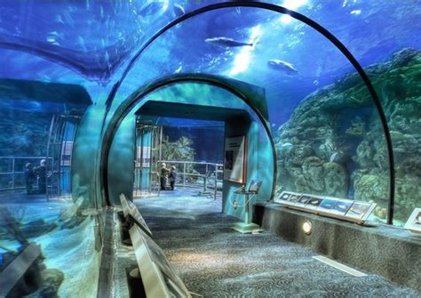 PRETTY. Attractions are: Space Center Houston; Downtown Aquarium ...