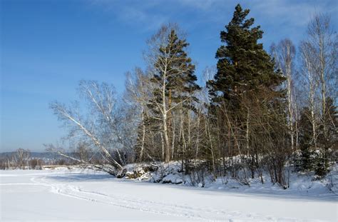 Siberia. Winter. - PentaxForums.com