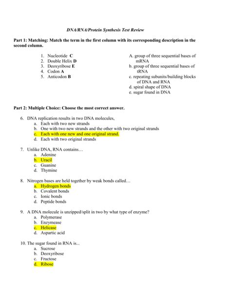 DNA/RNA/Protein Synthesis Test