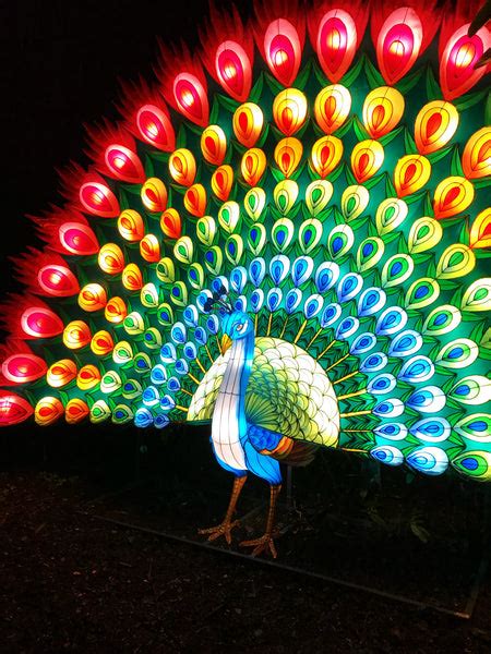 The Giant Lanterns of China – Hand Over Your Fairy Cakes