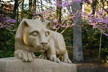 Nittany Lion Shrine Photos by William Ames