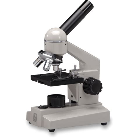 National Model 104-CLED Compound Microscope 104-CLED B&H Photo