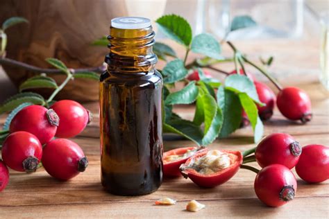 8 Benefits of Rosehip Oil – General Health Magazine