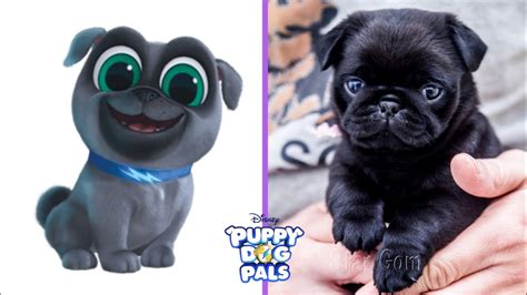 Puppy Dog Pals Characters In Real Life 2021 - YouTube