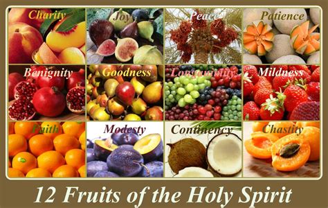 Pin by God and Jesus on Holy Spirit | Fruit of the spirit, Holy spirit ...