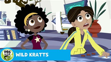 WILD KRATTS | Looking for 'Lost' Martin | PBS KIDS - YouTube