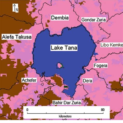 (PDF) The Fish and the Fisheries of Lake Tana