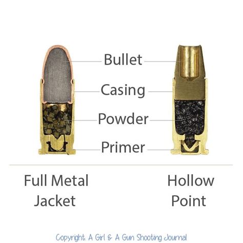 Anatomy Of A Bullet Cartridge