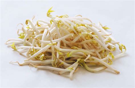 Health benefits of Bean sprouts | HB times