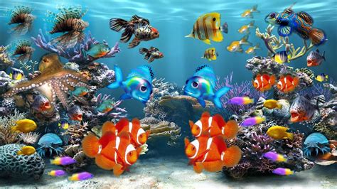 3d Fish Wallpaper