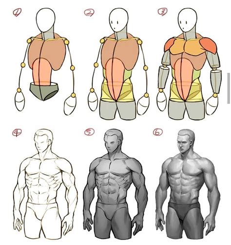 25+ human body drawing simple - OonaghNyall