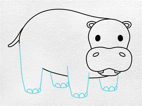 Hippopotamus Drawing Step By Step