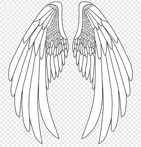 Angel Wings Drawings