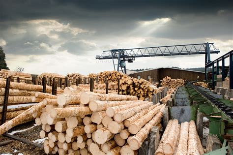 3 Top Dividend Stocks in Lumber | The Motley Fool