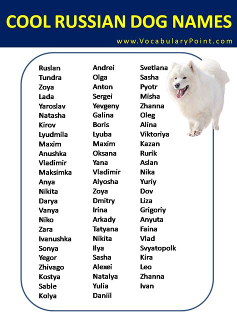 Most Popular Russian Dog Names - Vocabulary Point