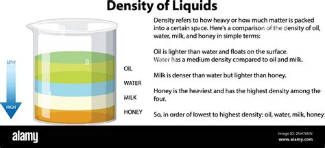 Density of Liquids Science Experiment illustration Stock Vector Image ...