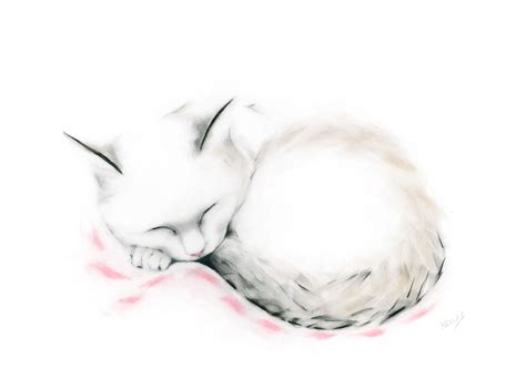 Sleeping Cat | Drawings, Cat drawing, Cats