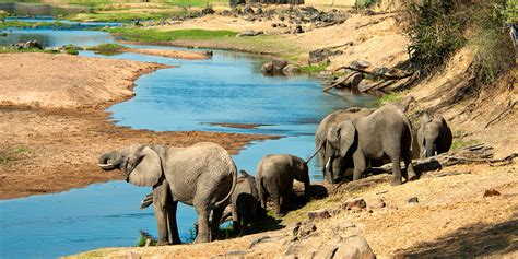 Tourist attractions in Ruaha National Park | Ruaha national park | Tanzania