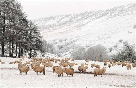 Snow, rain and strong winds.. the latest weather warning for Wales ...