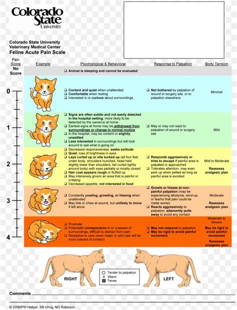 Cat Pain Scale Dog Pain Management, PNG, 917x1200px, Cat, Acute ...