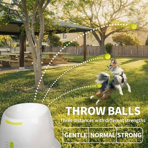 * Automatic Dog Ball Launcher | Buy Online - Free Delivery