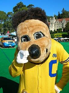 Oski the Bear - Wikipedia