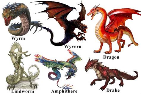 Dragon in legends-8-Wyvern, Wyrm, Drake, Lindworm… | Dinomake