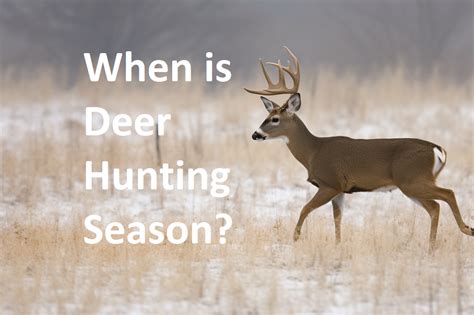 When is Deer Hunting Season? A Guide to the Timing and Regulations ...