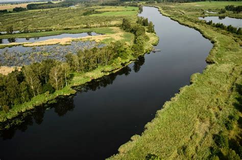 Reprieve for wild nature as River Oder engineering plan shelved after ...