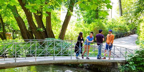 EU Business School, Munich Campus (Photo Gallery)