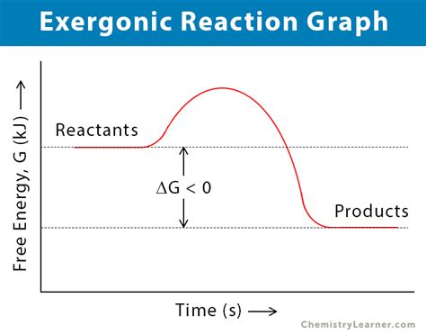 Exergonic Reaction: Definition, Equation, Graph, and Examples