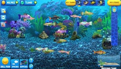 Assortment of download game aquarium fish pc