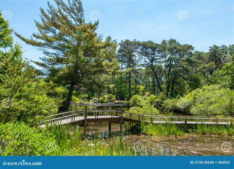 Mytoi Japanese Garden on Chappaquiddick Island Editorial Image - Image ...