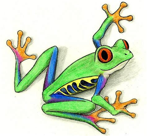 Tree Frog Cartoon | Tree frog tattoos, Frog art, Frog tattoos