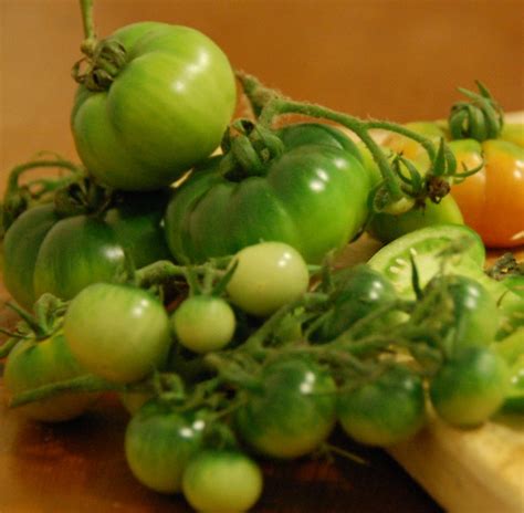 Sarah's Green Tomato Soup - Recipe For Green Tomatoes