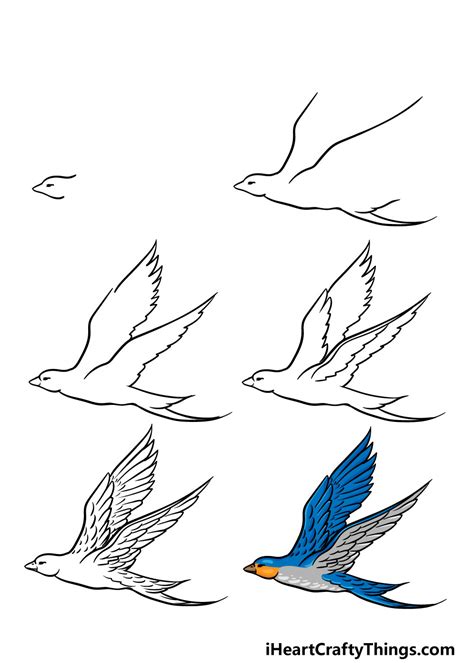 How To Draw A Realistic Bird Flying Step By Step