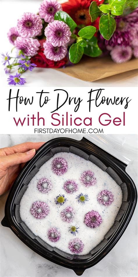 Drying Flowers Silica Gel Microwave | Best Flower Site