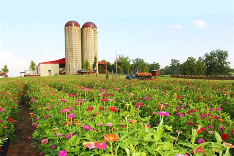 Fall on the Farm | Southern Belle Farm