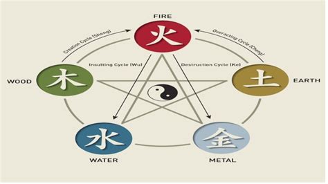 The 12 Zodiac Elements / Chinese Five Elements Philosophy And Culture ...