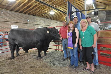 Angus Bull Shatters State Fair Super Bull Record