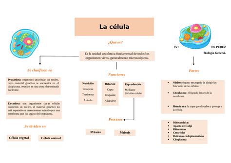 Mapa sobre la celula | Guías, Proyectos, Investigaciones de Biología ...