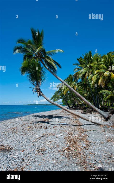 Beach on Savo Island, Savo, Solomon Islands, Pacific Stock Photo - Alamy