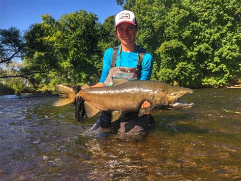 Salmon River and Central Virginia Fishing Report Oct 3, 2017 ...