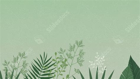 Simple Light Green Background