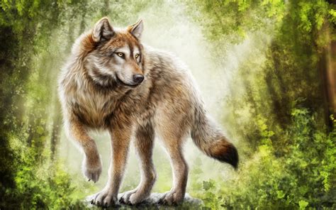 gray wolf painting wallpaper Wallpapers HD / Desktop and Mobile Backgrounds