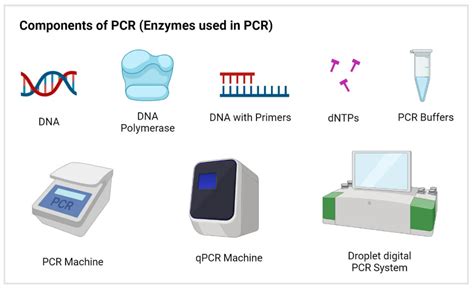 Different types of PCR techniques in molecular biology – faCellitate